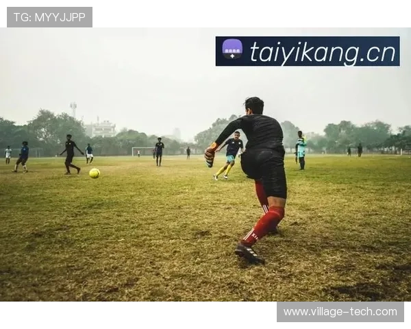 新手如何快速上手开云体育官方在线的操作与功能